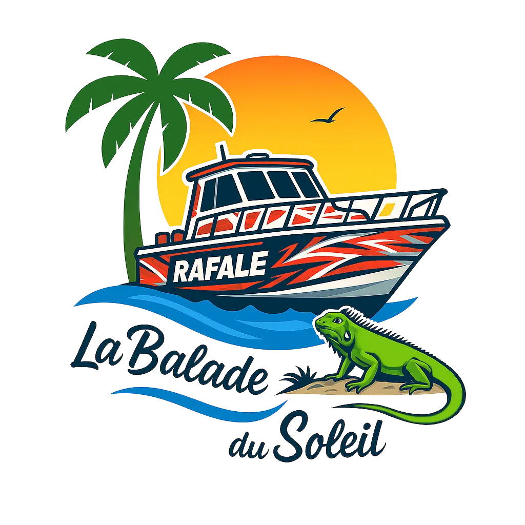 Logo La Balade du Soleil fond transparent écriture bleue - Virtual Conciergerie Martinique